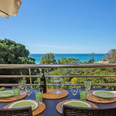 Beach Front Barracuda *
