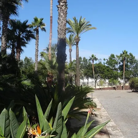 Apartment Beach Front Barracuda Albufeira