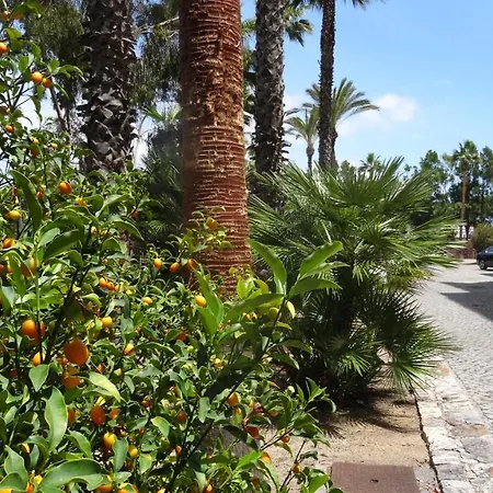 Beach Front Barracuda Apartment Albufeira