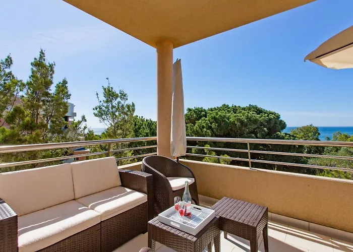 Beach Front Barracuda