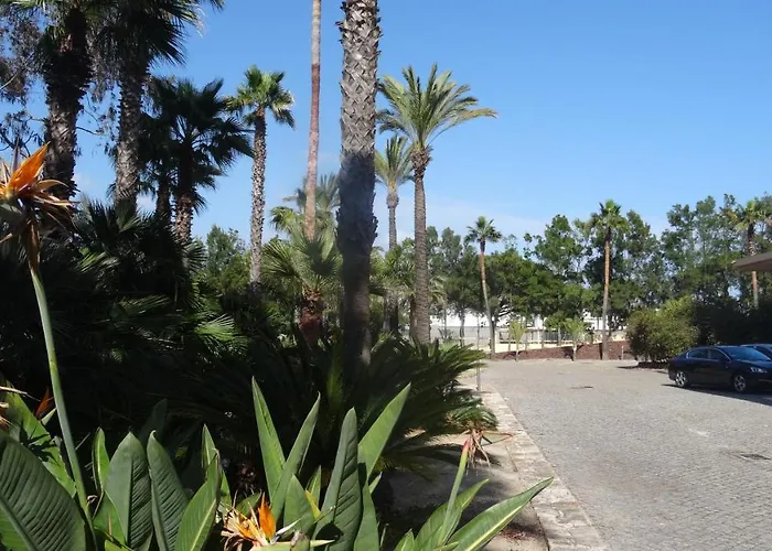 Apartman Beach Front Barracuda Albufeira